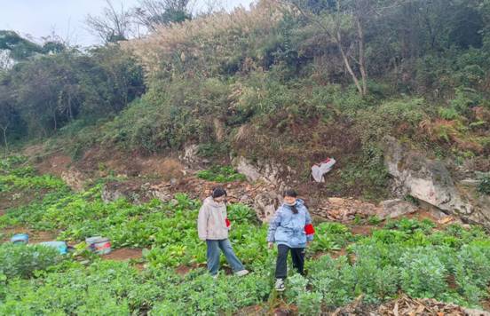 3925deca5b998487ec0591c8b461234