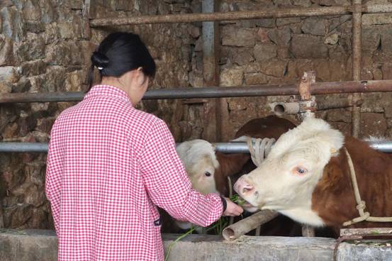 图为赵梦圆关注村民生活养殖情况